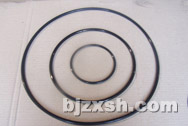 ͼƬ:O ring<br>ʱ:2008/06/24 16:42:08<br>:1250